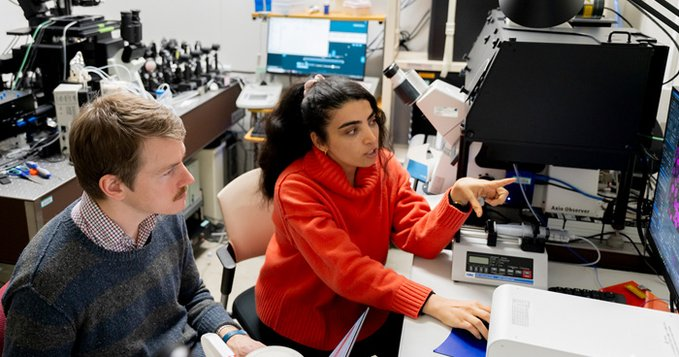 Call for Applications for BDR–RISE Program - Japan