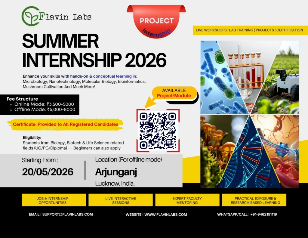 Flavin Labs Summer Internship 2026 | Register Today