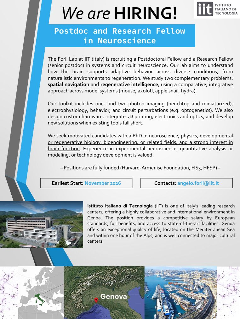 HIRING: Postdoc and Research Fellow positions - Italy