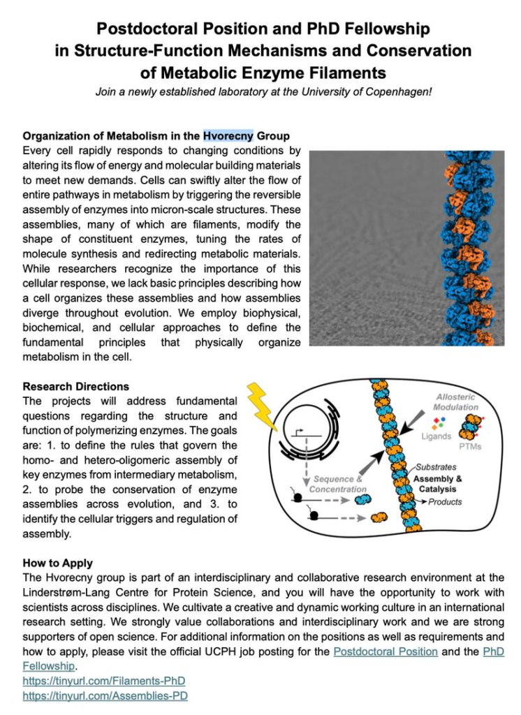 Postdoc and PhD positions - University of Copenhagen