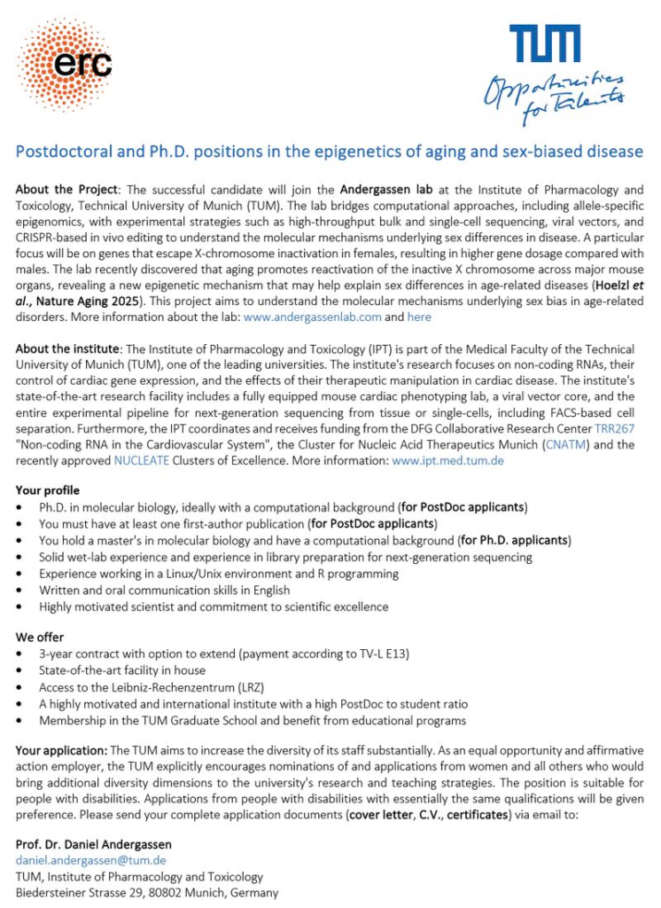 Andergassen Lab at the Technical University of Munich is hiring Postdoc, PhD