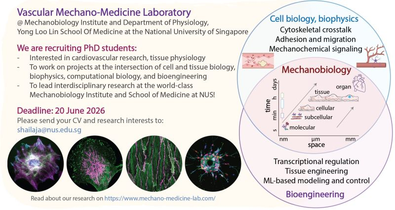 PhD in cardiovascular research - NUS Singapore