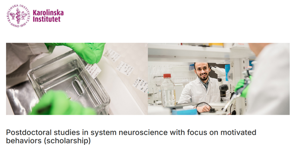 Postdoctoral studies in system neuroscience with focus on motivated behaviors (scholarship) - Sweden
