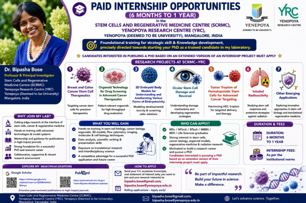 Paid Internship Opportunities (6 Months – 1 Year)